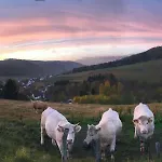 Familie Willems 2 Incl Sauerland Sommercard Winterberg