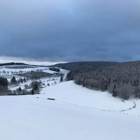 Familie Willems 2 Appartamento Winterberg