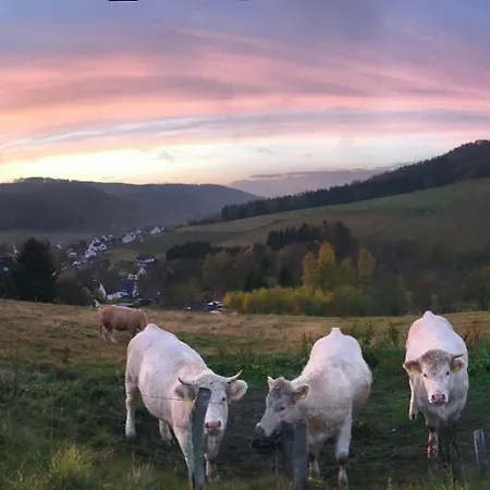 Familie Willems 2 Winterberg