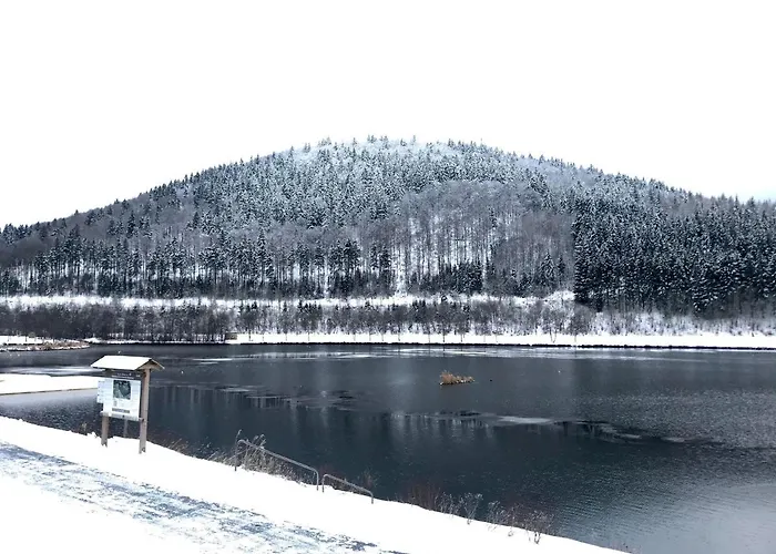 Familie Willems 2 Winterberg