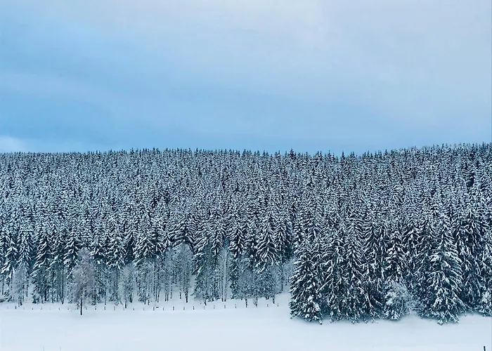 Familie Willems 2 Lägenhet Winterberg