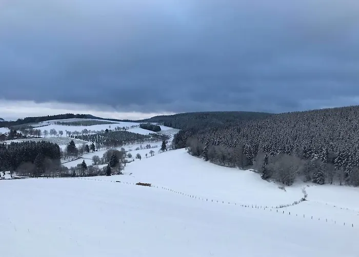 Familie Willems 2 Lägenhet Winterberg