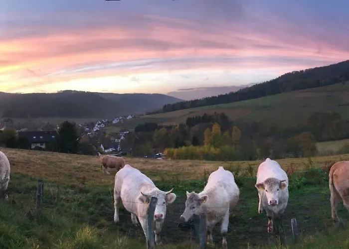 Familie Willems 2 Winterberg